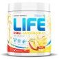 Предтренировочный комплекс Tree of life PRE-Worcout 300 гр 50 порций