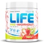 Предтренировочный комплекс Tree of life PRE-Worcout 300 гр 50 порций