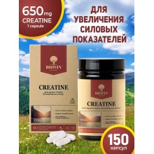 Креатин и транспортные системы