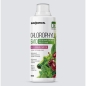 Антиоксидант ENDORPHIN Chlorophyll Bio 500 мл