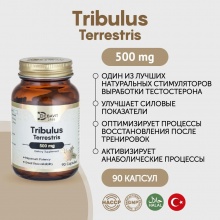 Повышение Тестостерона