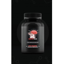 Специальный препарат Mentor Mind Мухомор 400 мг 120 гр