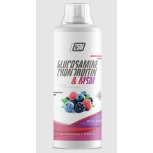 Хондропротектор 2SN Liquid Glucosamine + Chondroitin + MSM 1000 мл